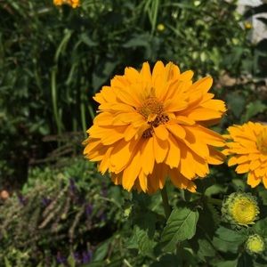 Meet your Posher, Kara